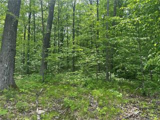 10191 N Hardwood Hills, Hayward, WI 54843