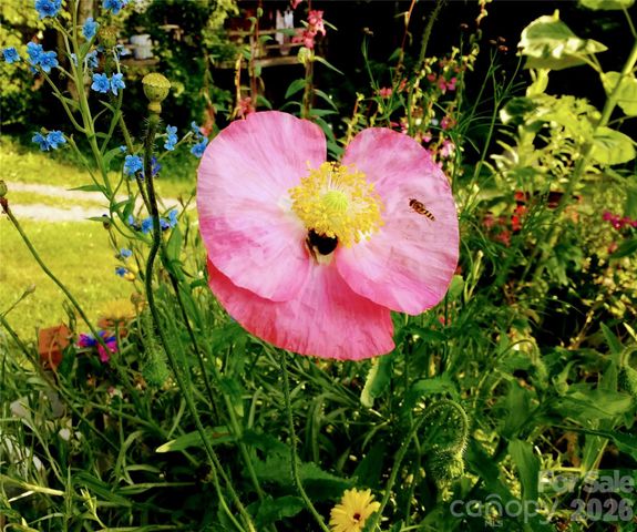 429 Biodome Drive, Waynesville, NC 28785