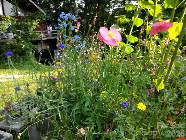 429 Biodome Drive, Waynesville, NC 28785