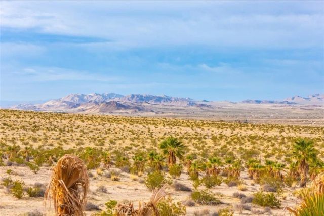 75775 Joe Davis Drive, 29 Palms, CA 92277