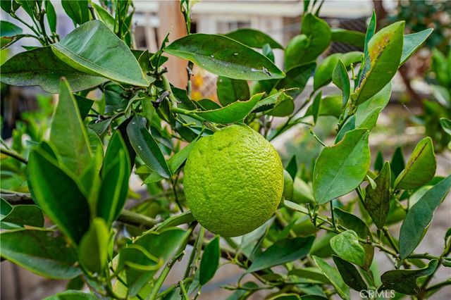 29629 Big Range Road, Canyon Lake, CA 92587