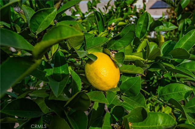 29629 Big Range Road, Canyon Lake, CA 92587