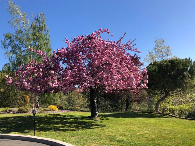 4806 Williams Highway, Grants Pass, OR 97527