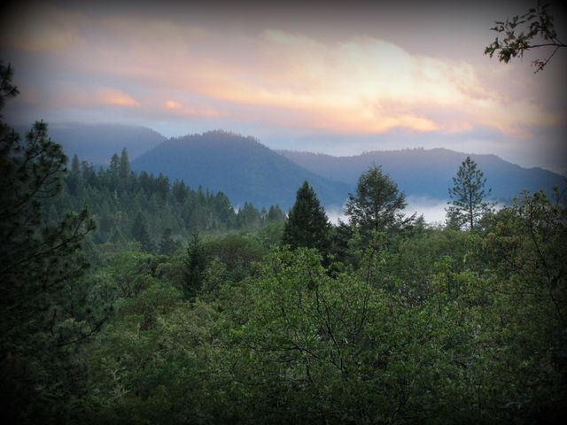 4806 Williams Highway, Grants Pass, OR 97527