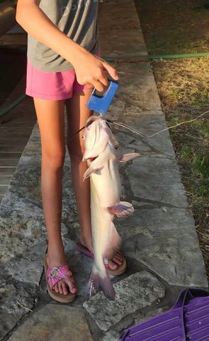 419 Sky Harbour Court, Granbury, TX 76049