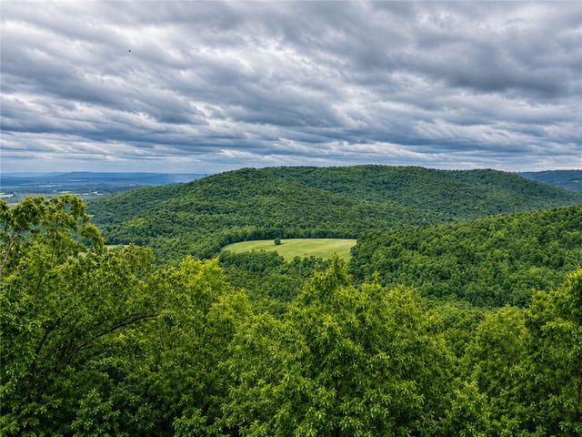 95 Lady Mary Lane, Eureka Springs, AR 72632