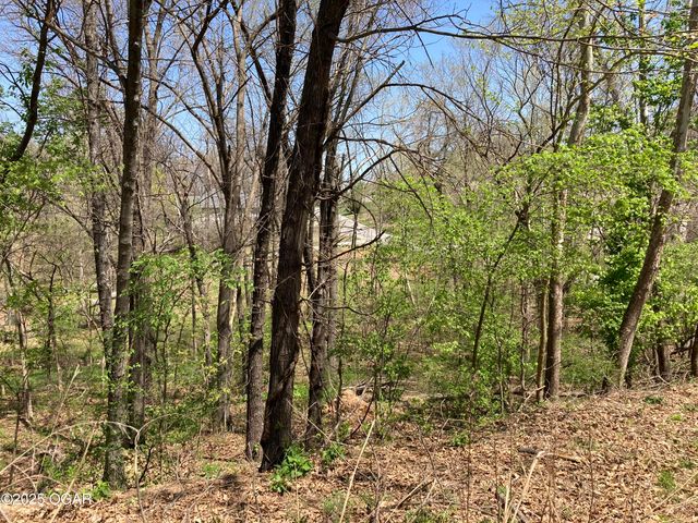 TBD Lot 5 Scenic Avenue, Joplin, MO 64804
