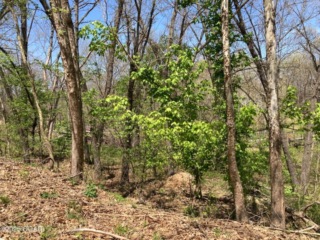 TBD Lot 5 Scenic Avenue, Joplin, MO 64804