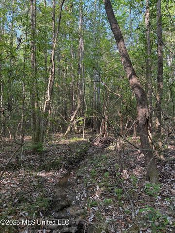 Titus Stewart Road, Hattiesburg, MS 39401