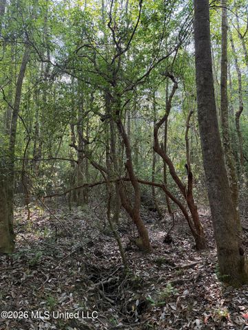 Titus Stewart Road, Hattiesburg, MS 39401