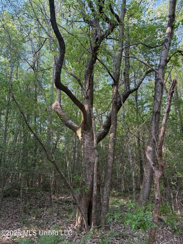 Titus Stewart Road, Hattiesburg, MS 39401
