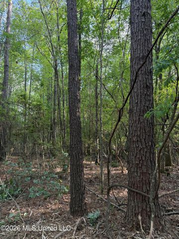 Titus Stewart Road, Hattiesburg, MS 39401