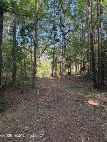 Titus Stewart Road, Hattiesburg, MS 39401