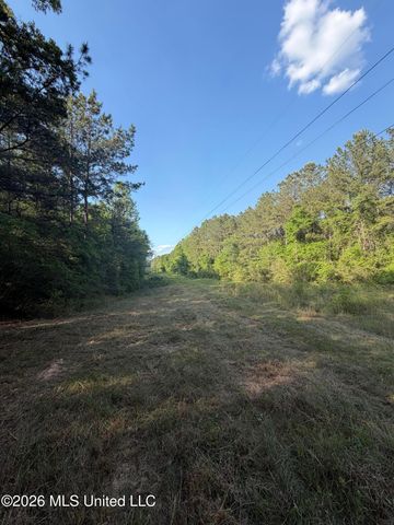 Titus Stewart Road, Hattiesburg, MS 39401