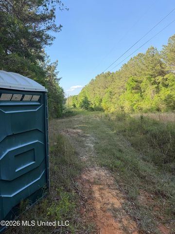 Titus Stewart Road, Hattiesburg, MS 39401