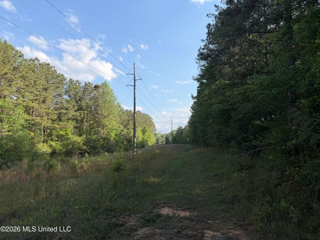 Titus Stewart Road, Hattiesburg, MS 39401