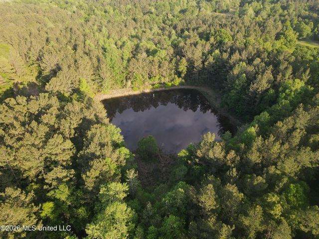 Titus Stewart Road, Hattiesburg, MS 39401
