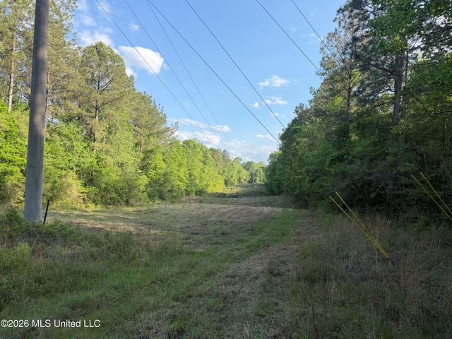 Titus Stewart Road, Hattiesburg, MS 39401