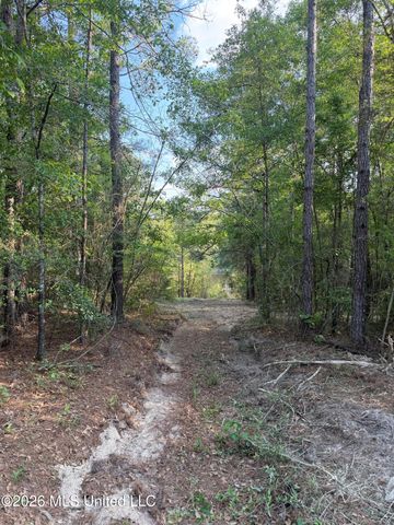 Titus Stewart Road, Hattiesburg, MS 39401