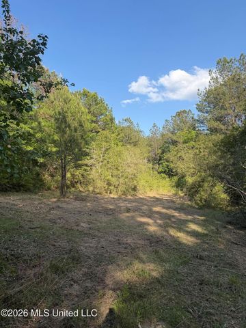 Titus Stewart Road, Hattiesburg, MS 39401