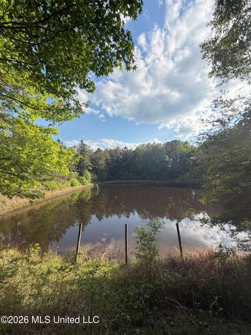 Titus Stewart Road, Hattiesburg, MS 39401