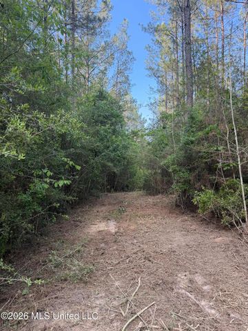 Titus Stewart Road, Hattiesburg, MS 39401