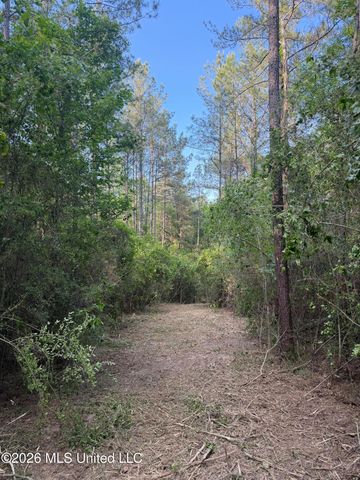 Titus Stewart Road, Hattiesburg, MS 39401
