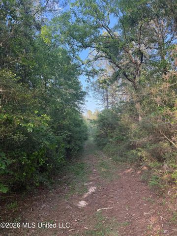 Titus Stewart Road, Hattiesburg, MS 39401