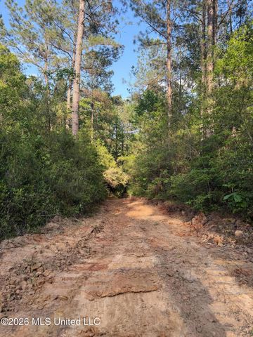 Titus Stewart Road, Hattiesburg, MS 39401