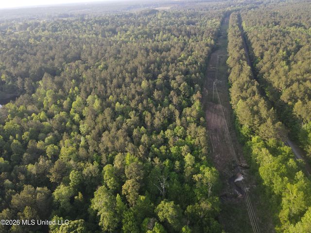 Titus Stewart Road, Hattiesburg, MS 39401