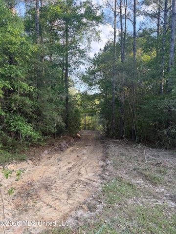 Titus Stewart Road, Hattiesburg, MS 39401