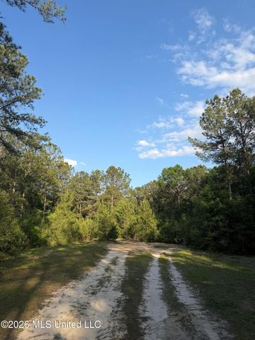Titus Stewart Road, Hattiesburg, MS 39401