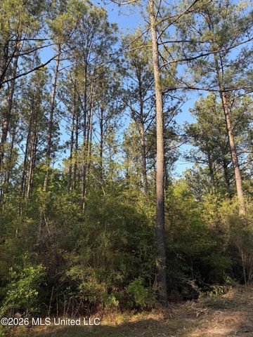 Titus Stewart Road, Hattiesburg, MS 39401
