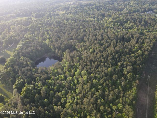 Titus Stewart Road, Hattiesburg, MS 39401