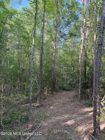 Titus Stewart Road, Hattiesburg, MS 39401