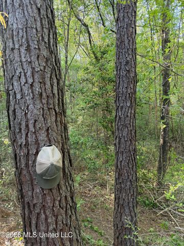 Titus Stewart Road, Hattiesburg, MS 39401