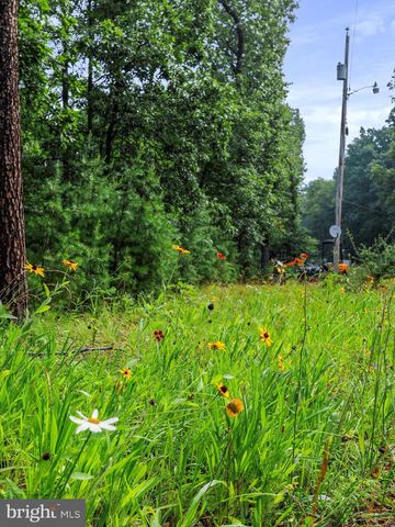 LOT 28 ISLAND RIDGE RD, Purgitsville, WV 26852