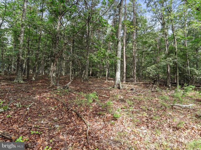 LOT 28 ISLAND RIDGE RD, Purgitsville, WV 26852