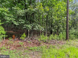 LOT 28 ISLAND RIDGE RD, Purgitsville, WV 26852