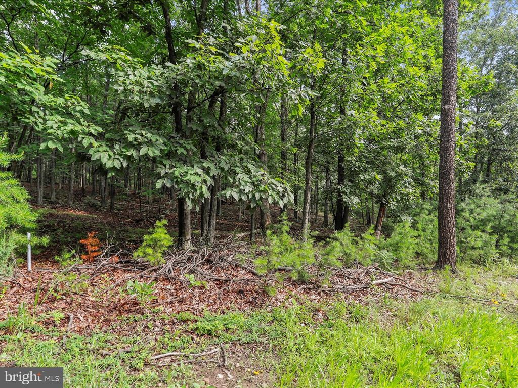 LOT 28 ISLAND RIDGE RD, Purgitsville, WV 26852
