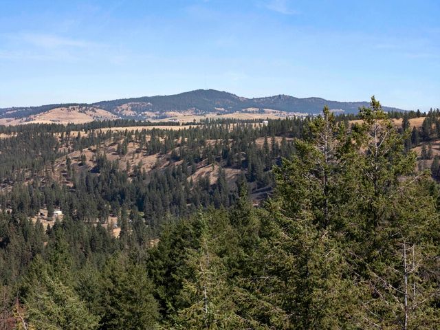 42XX E Rambling Rose Ln, Valleyford, WA 99036
