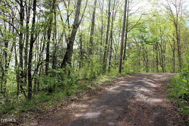2193 Burem Road, Rogersville, TN 37857