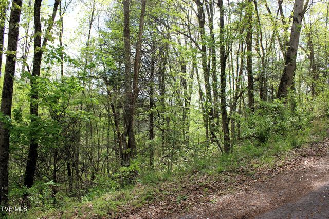 2193 Burem Road, Rogersville, TN 37857