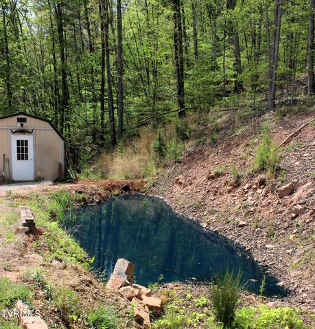 2193 Burem Road, Rogersville, TN 37857