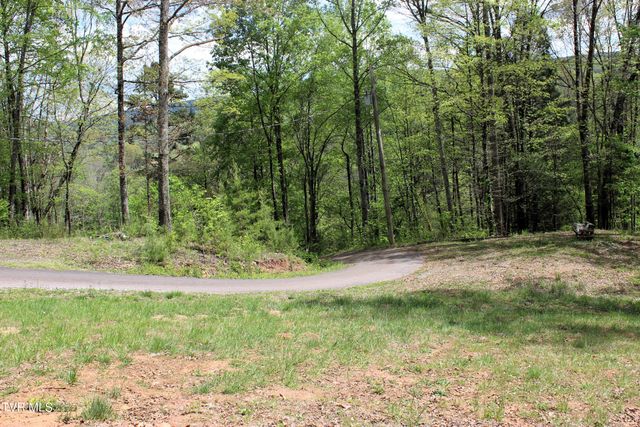 2193 Burem Road, Rogersville, TN 37857