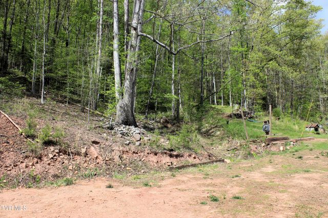 2193 Burem Road, Rogersville, TN 37857