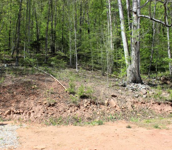 2193 Burem Road, Rogersville, TN 37857