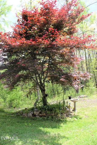 2193 Burem Road, Rogersville, TN 37857