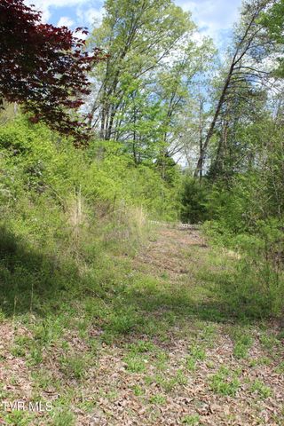 2193 Burem Road, Rogersville, TN 37857