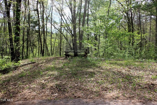 2193 Burem Road, Rogersville, TN 37857